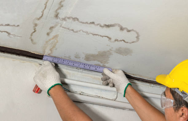Reliable Burst Pipe Cleanup contractor in Southgate, MI by Local Water Damage Repair